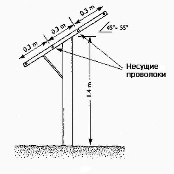 Шпалера для винограда