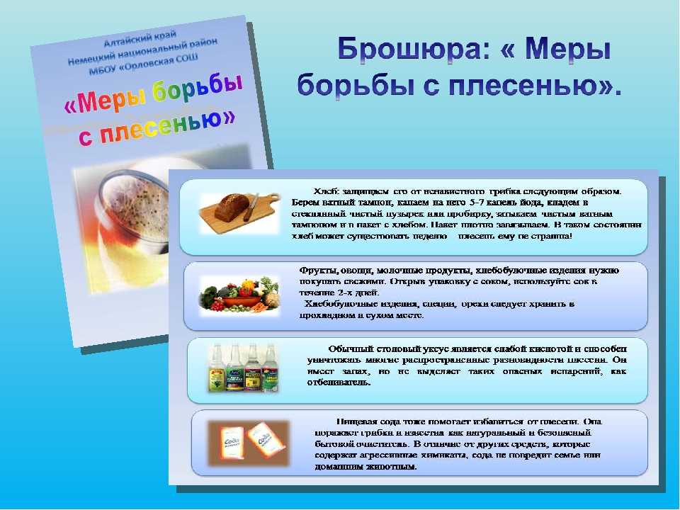 Как бороться с домашней пылью