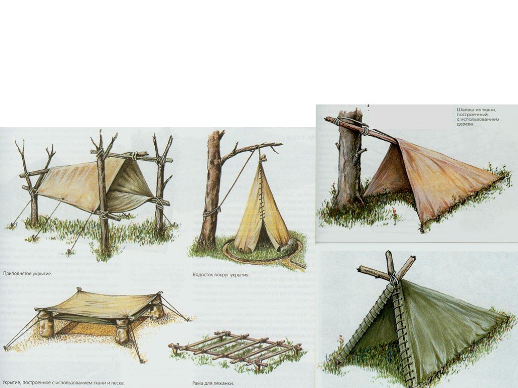 Как построить шалаш своими руками на дереве в лесу, из веток, из досок, на даче и в доме