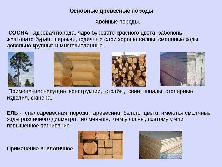 Дерево для строительства дома - обзор строительного материала