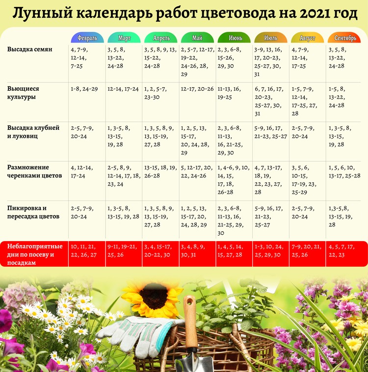 Лунный календарь огородника и садовода на 2021 год