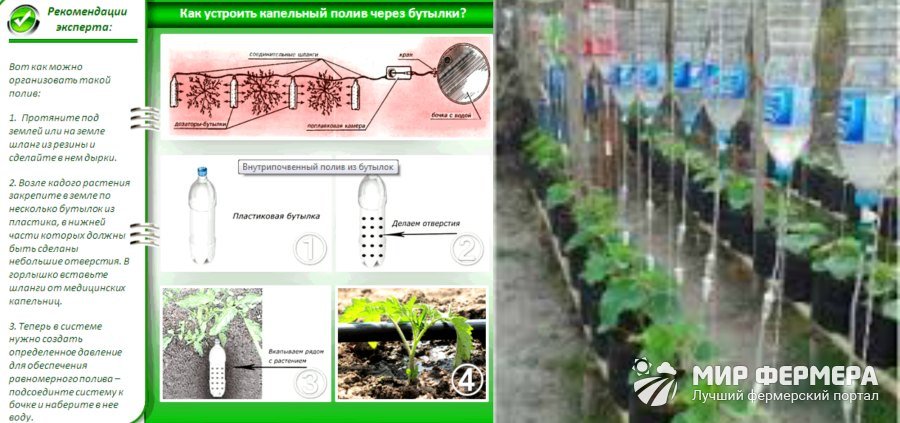 Капельный полив своими руками из пластиковых бутылок в 2023 году на гудгрунт