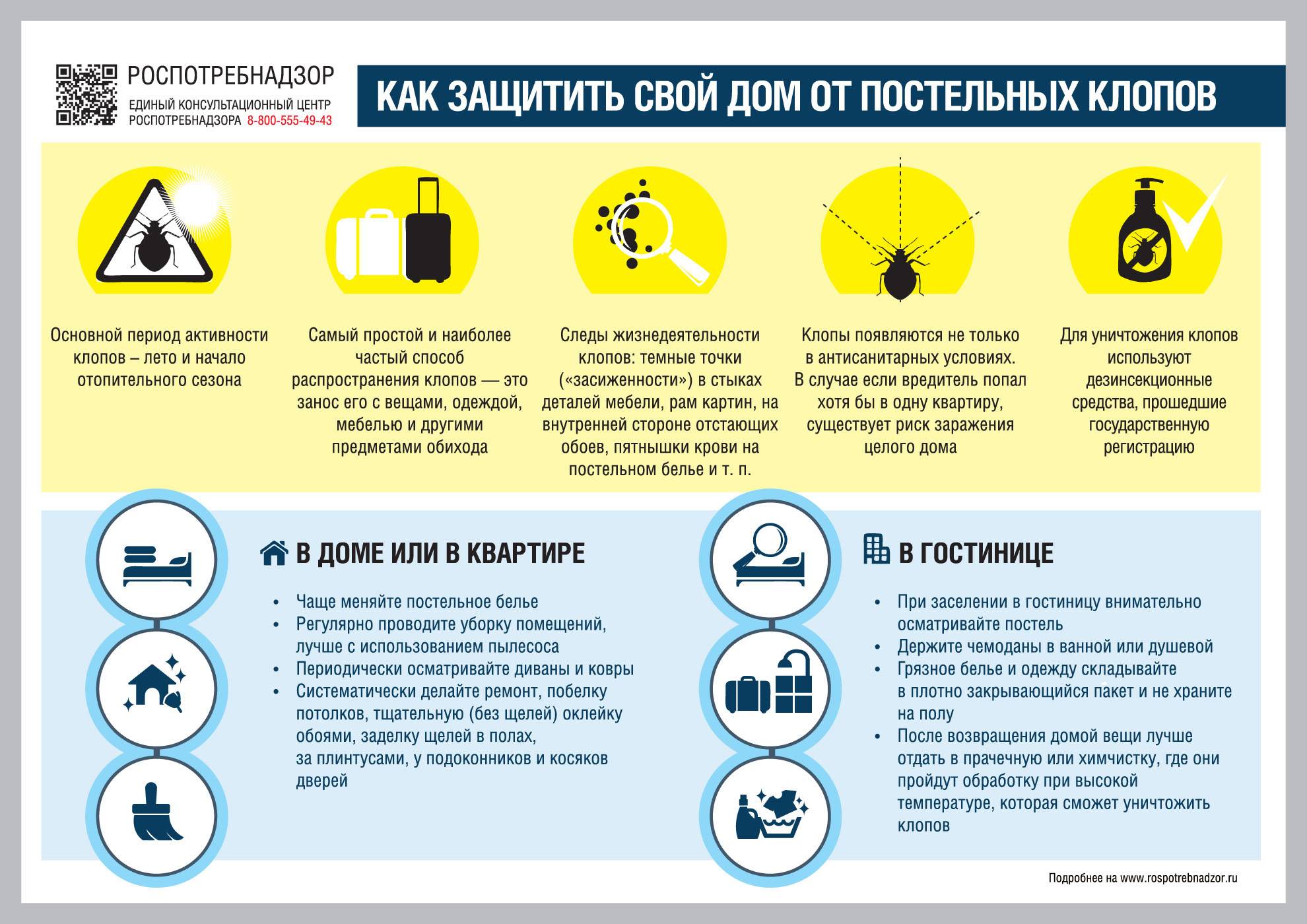 В ванной и туалете завелись насекомые быстро бегают головастики что делать?