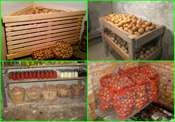 Где и как хранить картофель, условия и сроки хранения свежей картошки