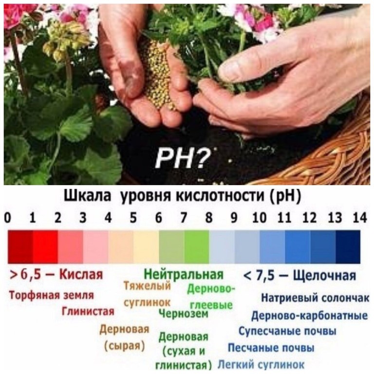 Какая кислотность почвы для томатов. Кислотность почвы таблица PH. Шкала PH почвы кислотности почвы. Таблица измерения кислотности почвы. РН почвы для цветов таблица.
