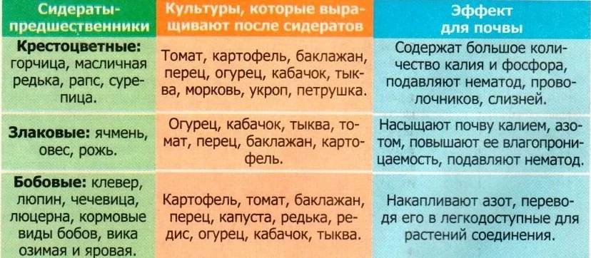 Перекапываем сидераты, советы, техника, применение