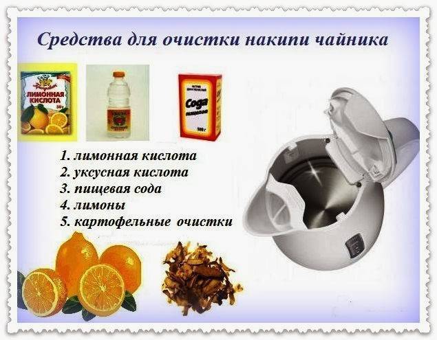 Как очистить чайник от накипи в домашних условиях: 6 легких способов