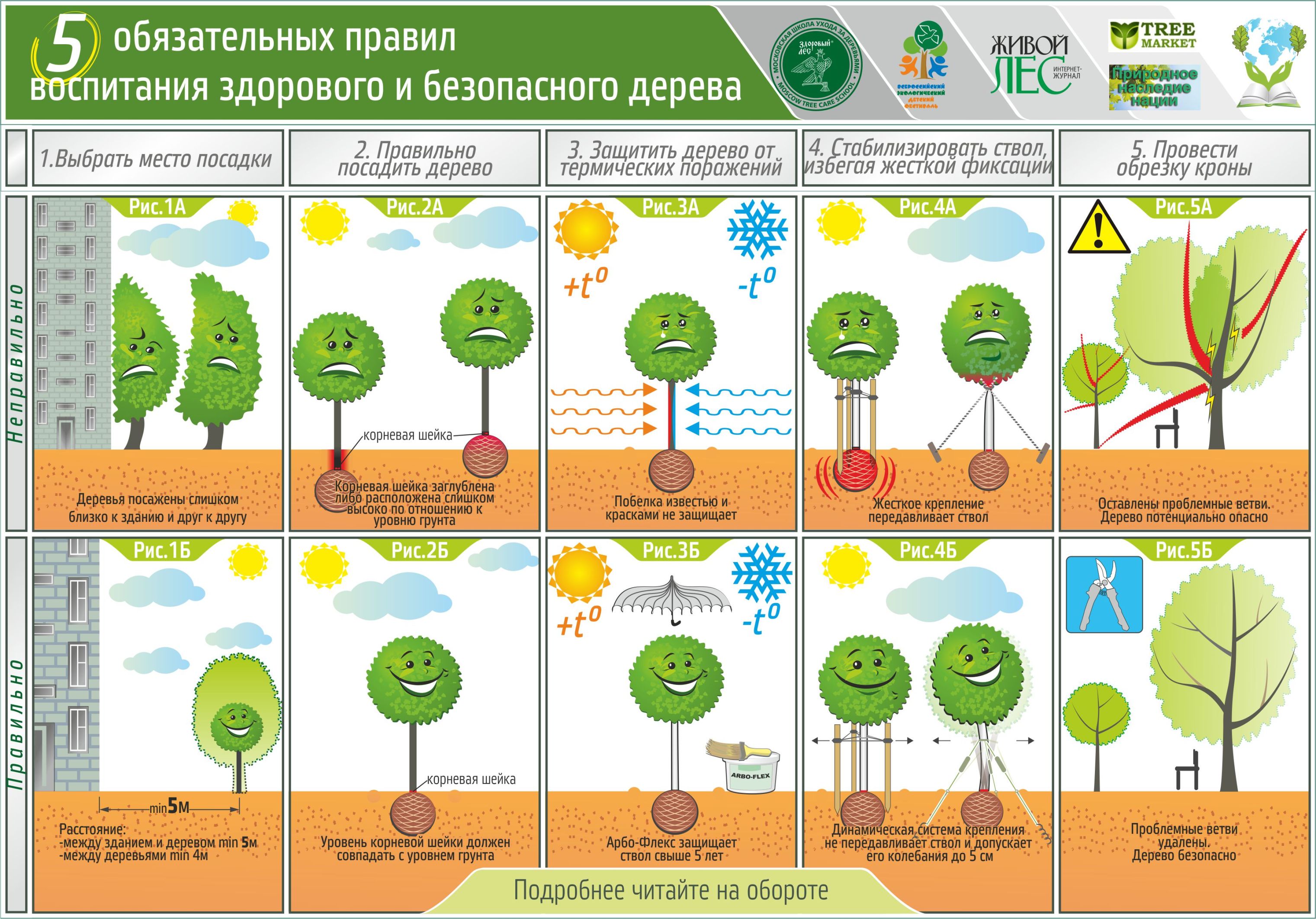 Как осушить сырой участок: 5 способов + своими руками