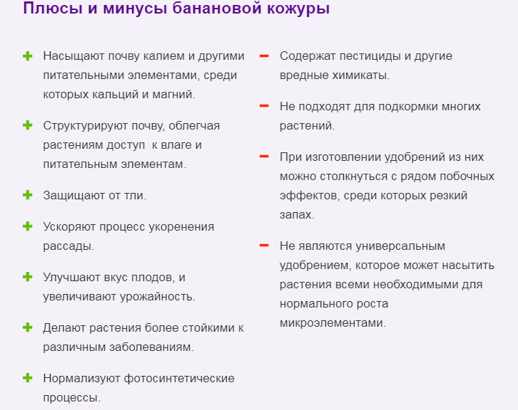 Банановая кожура в хозяйстве как натуральное эффективное удобрение