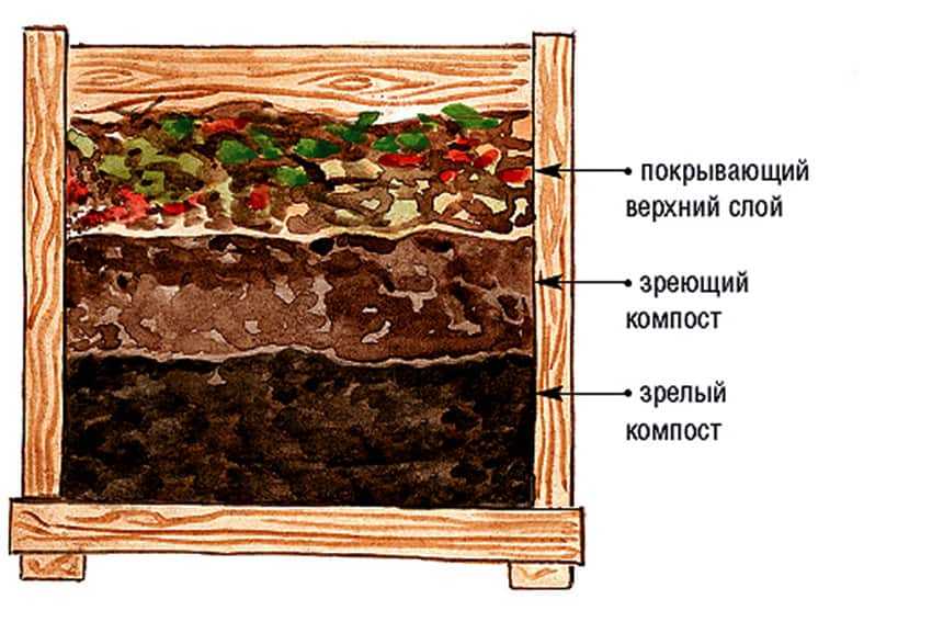 Как сделать правильный компост?