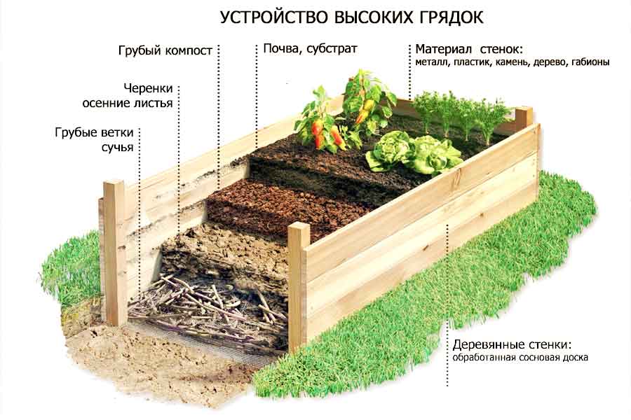 Высокие грядки: как сделать, чем заполнить и что выращивать