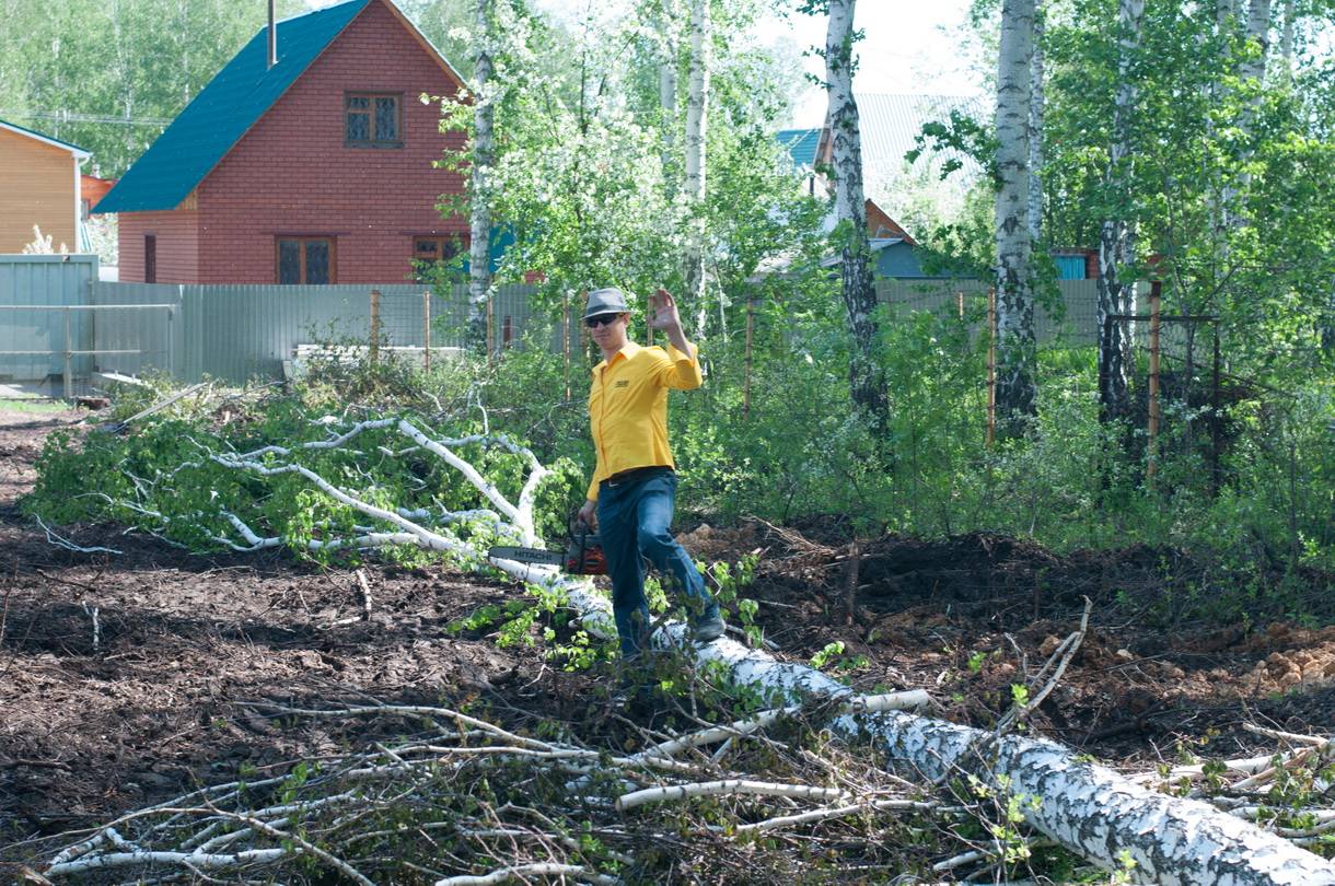 Как избавиться от поросли вишни ? на участке, как бороться в саду, навсегда выкорчевать, удалить отростки корней | qlumba.com