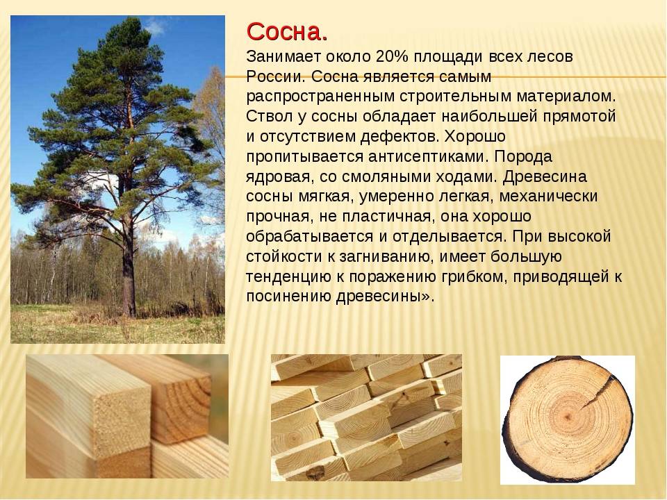 Какой деревянный дом лучше выбрать, плюсы и минусы.