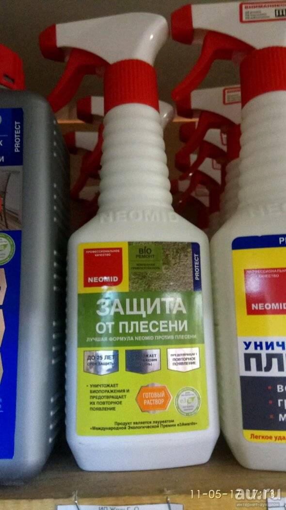 Как спасти обои от плесени?